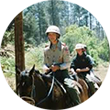 Two scouts ride horses.